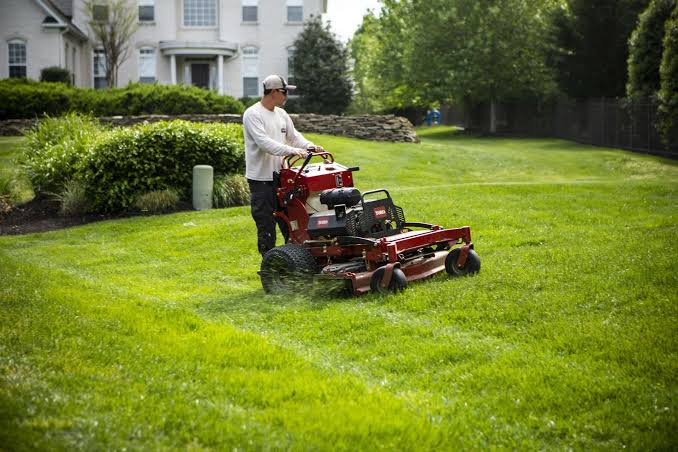 Lawn mower cutting stripes into a green lawn